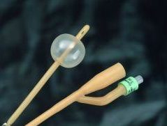 Coated Foley Catheter