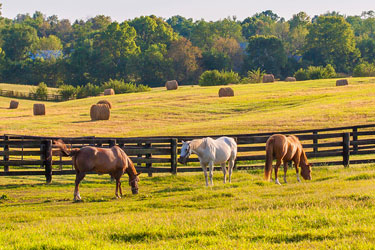 Kentucky Medicaid and Incontinence Supplies – Are They Covered?