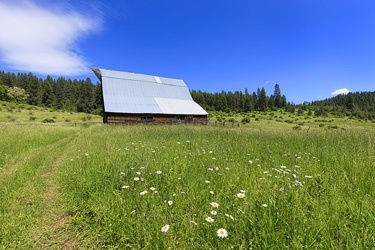 Idaho Medicaid covers incontinence supplies HCD health