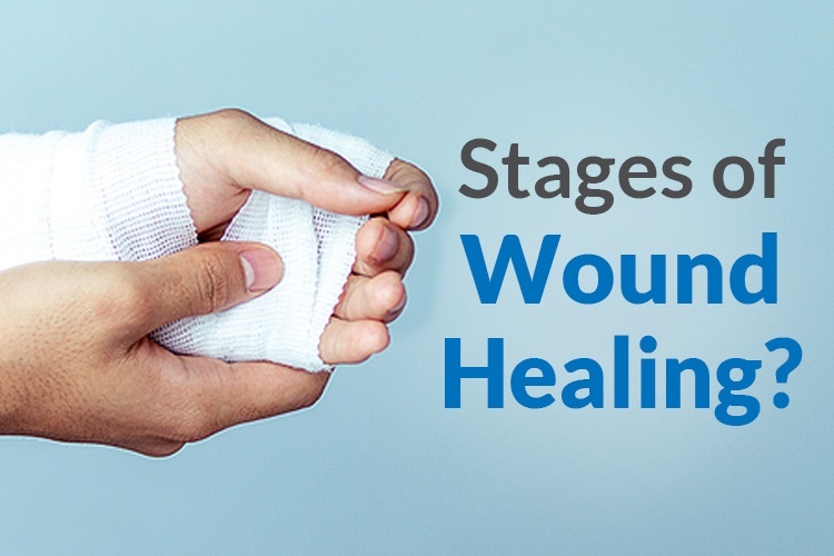 Stages Of Wound Healing
