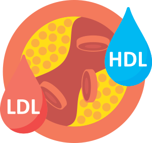 cholesterol