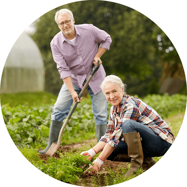 gardening-is-healthy-exercise Gardening is healthy exercise