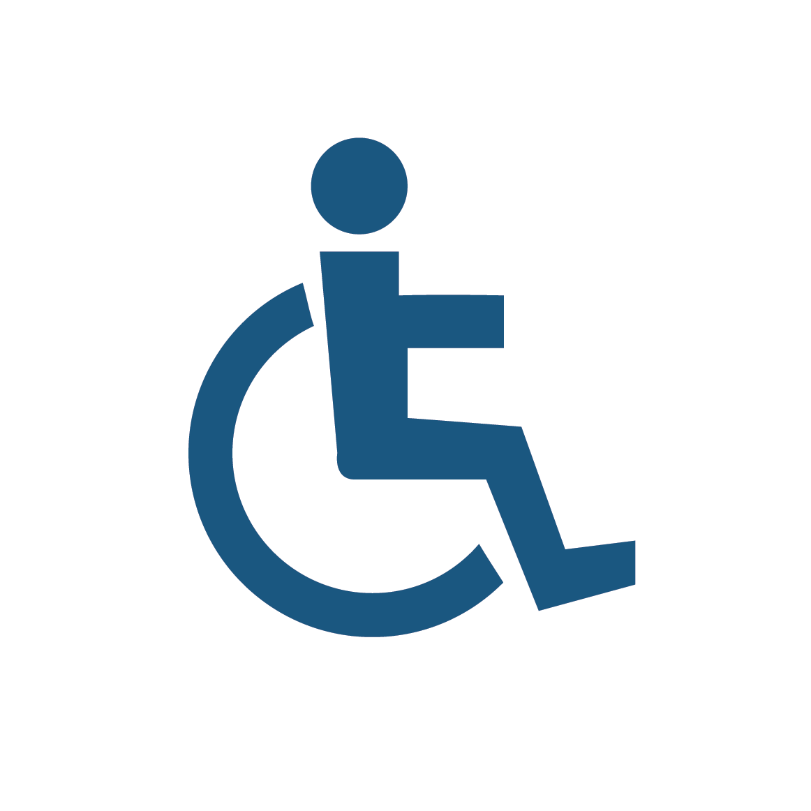 handicap icon