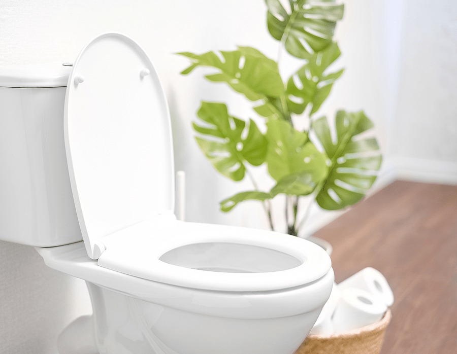 Modern-Toilet modern toilet