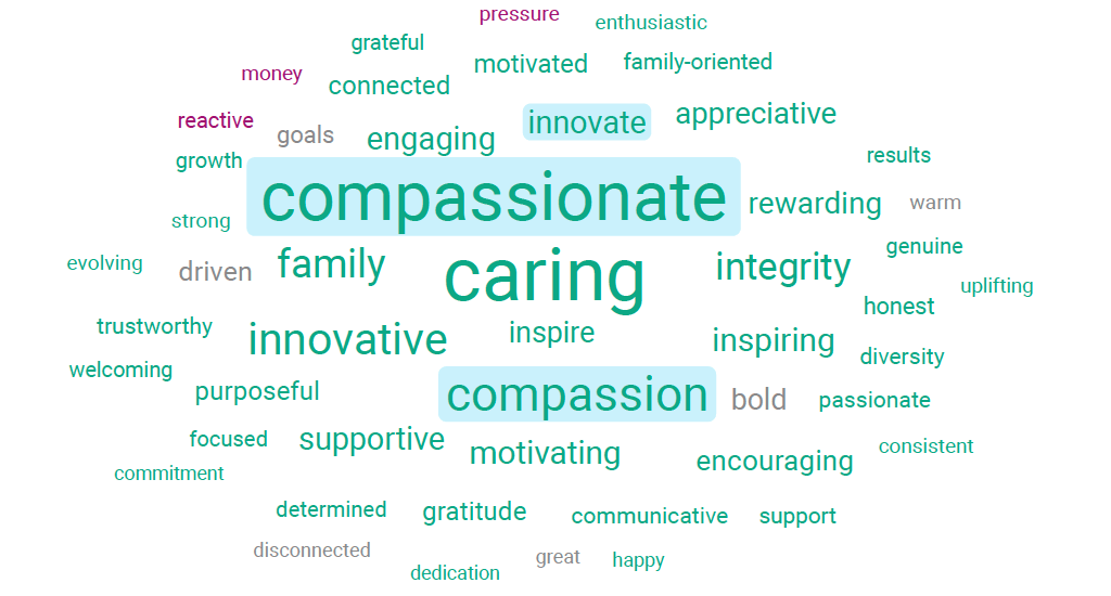 HCD word cloud