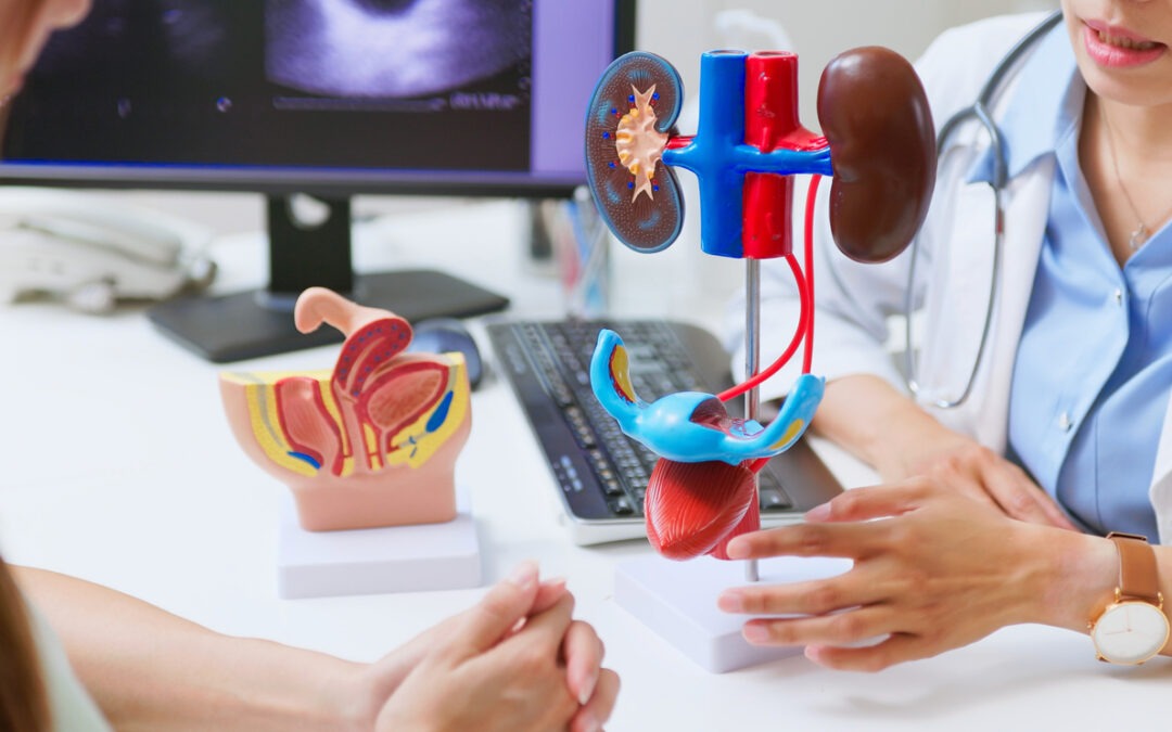 Understanding Urological Conditions: Causes, Symptoms, and Management